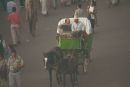 Moroccans in Horse & Carriage, Place Jemaa el-Fna, Marrakech